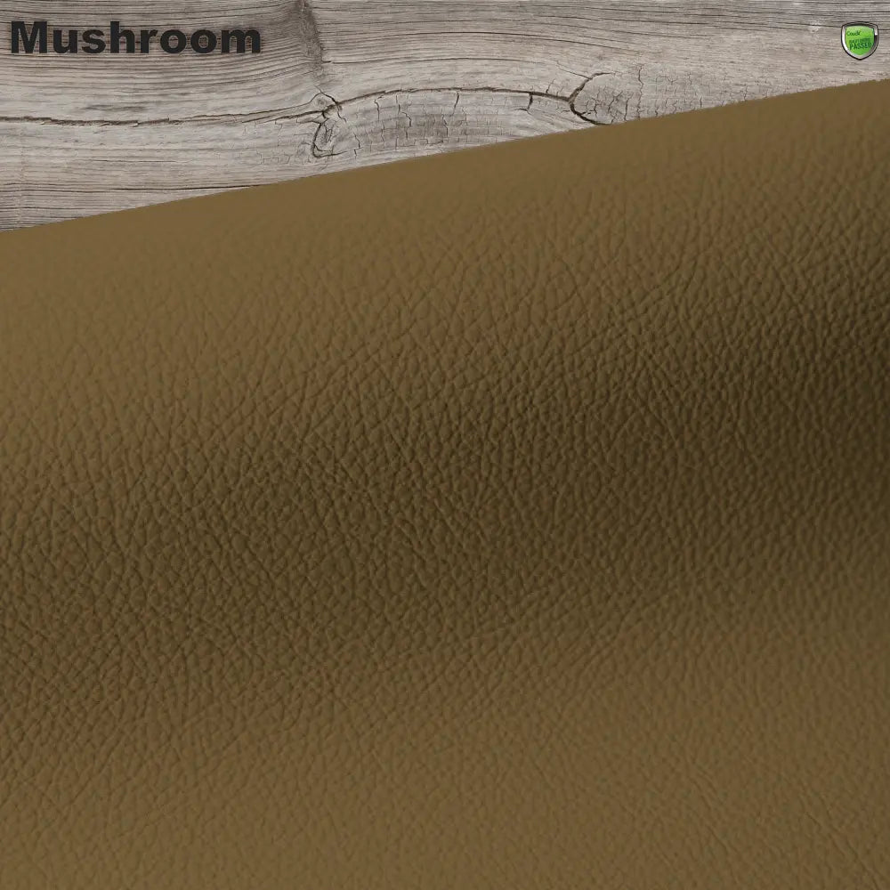 mushroom leather colour