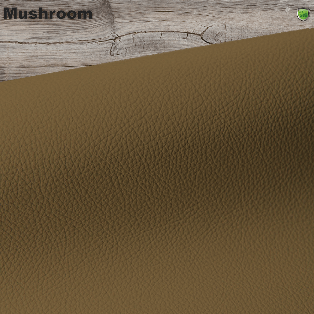 mushroom leather colour